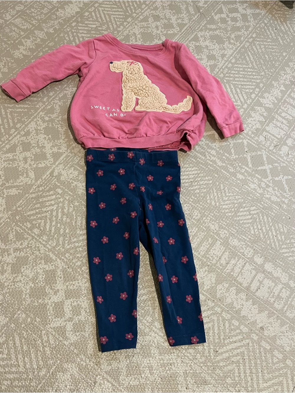 Carter’s Outfit Set Puppy Sweatshirt and Blue Floral Pants 18 months